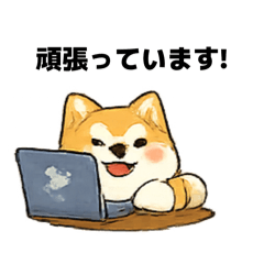 ayaya_20260515101750