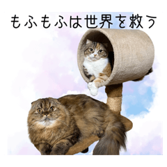 Wakaba16_20260515101828