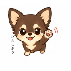 yukoelirin_20260515102404