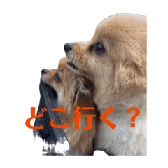 xxxslyxxx