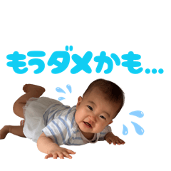 ayaneko_20260515104655