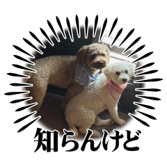 kei_20260515105151