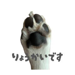 saaa!_20260515110816