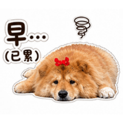 厭世可頌公主