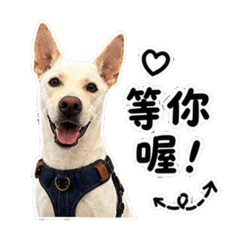 阿卡醬的日常生活