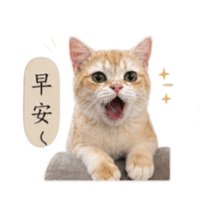 嚕咪咪咪咪咪咪咪咪咪咪咪