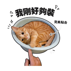 亨睿的啊黃