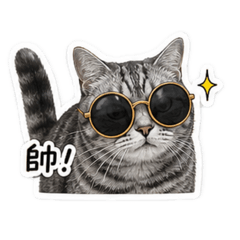 Bebeの貓