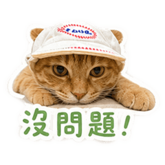 貓屁荳❤︎︎