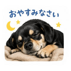 hirosan_20260515112748