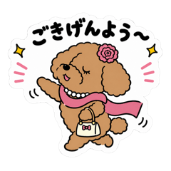 song june_20260515113619