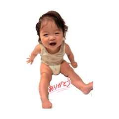 hiko_20260515114503