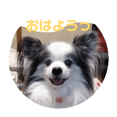 pon0802