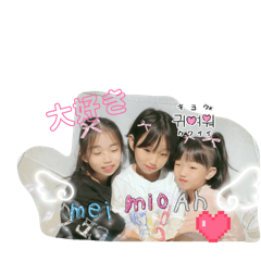 toypoo_20260515121633