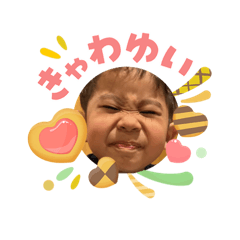 nicochi_20260515122011