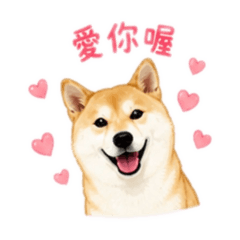 丸丸～