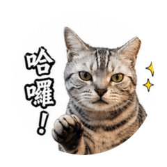tobean