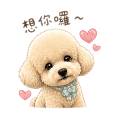 布丁想你囉
