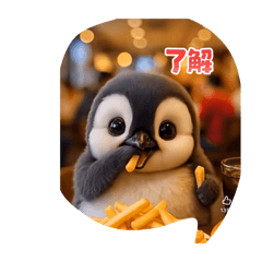 rui_rui_20260504224700