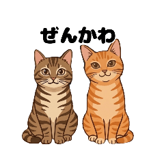 zakino_20260518220655