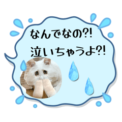 kaji_20260504145507