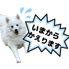 naka_20260515123643