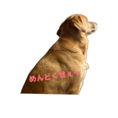 NATSU_20260515123912
