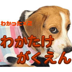spamya_20260515124507