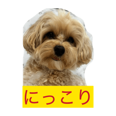 momo_20260515124140