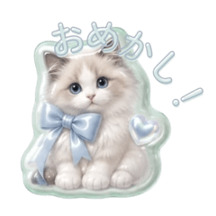 meow meow_20260515125050