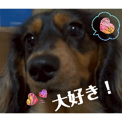 Happy wanwan3