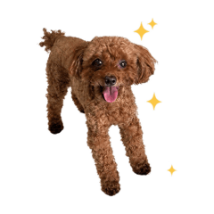 nanako_20260514234931