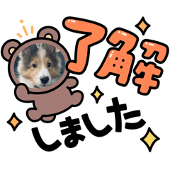 Ayachin_20260515125509