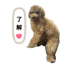 momochan man_20260515130459