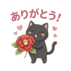 yun_20260518103444