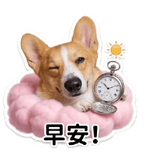 我家寶貝花芝芄