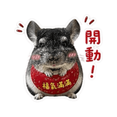 7仔寶包生活日常