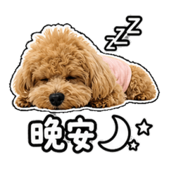 Pinky 日常用語篇