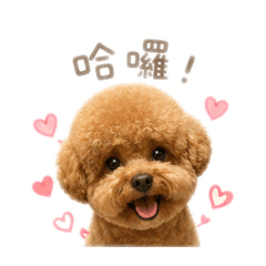 Honey是我