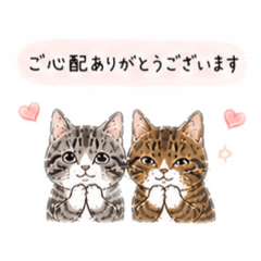 rokuhana_20260515111512