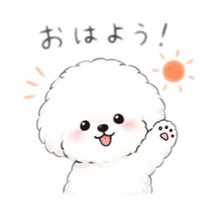 Kat_20260515110423