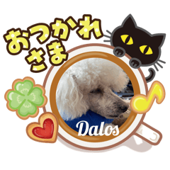 Dalos_20260515112415