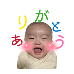 rika6480_20260515133839