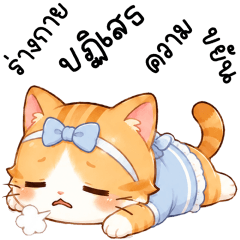 CATTY CUTIE CAT