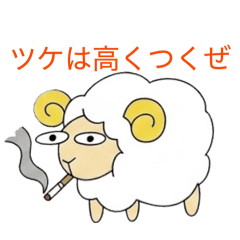 toto_20260515132302