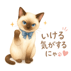 Siamese Cat Daily Stickers!