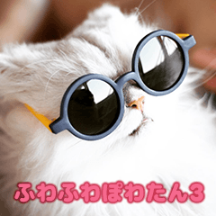 Fluffy Powatan 3 - Real Cat Stickers