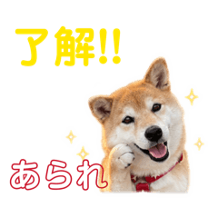 leochu_20260518192546
