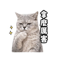 Mifa-專屬厭世篇