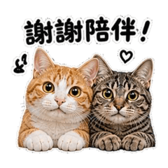 Orange cat & Mei